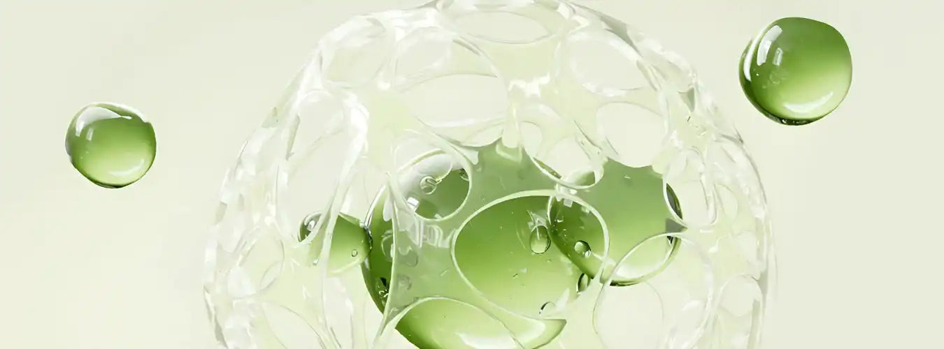 Plant ceramides