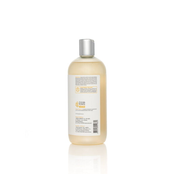 Revitalizing Shower Gel