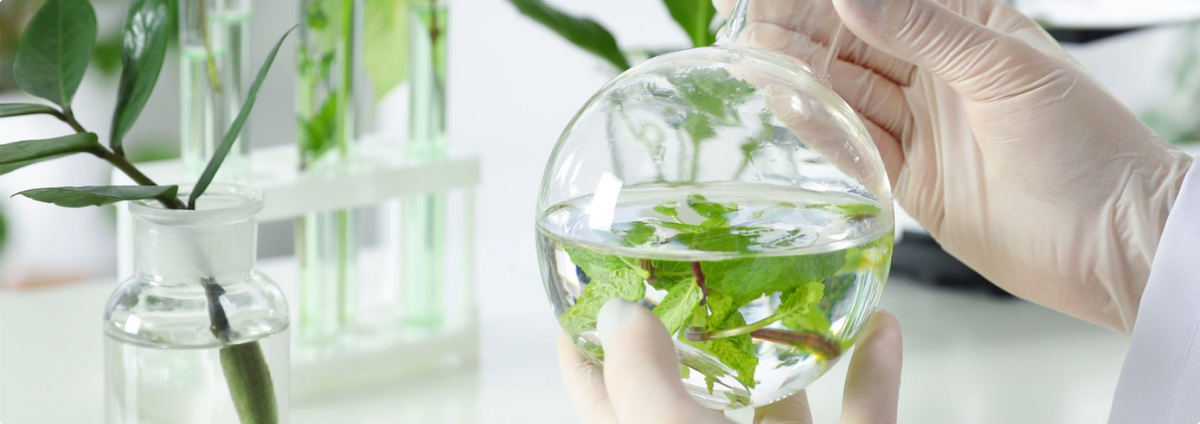 Scienza nei cosmetici