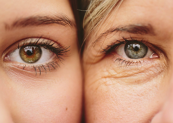 Antioxidants – the salvation against aging