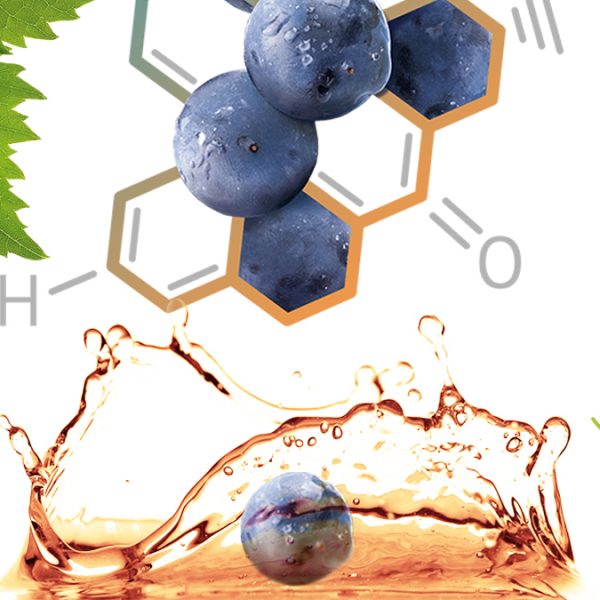 ViephenolTM – a unique antioxidant complex for your skin